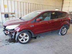 Salvage cars for sale at Abilene, TX auction: 2014 Ford Escape SE