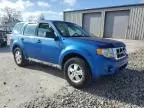 2011 Ford Escape XLS