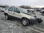 2005 Ford Escape XLS