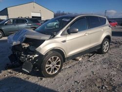 Salvage cars for sale at Lawrenceburg, KY auction: 2017 Ford Escape SE