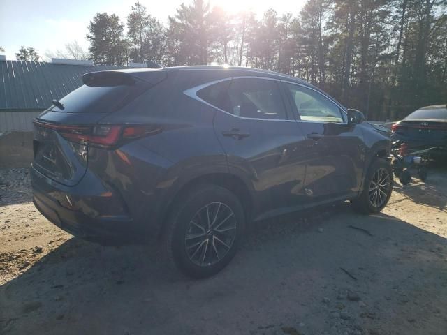 2024 Lexus NX 350 Premium