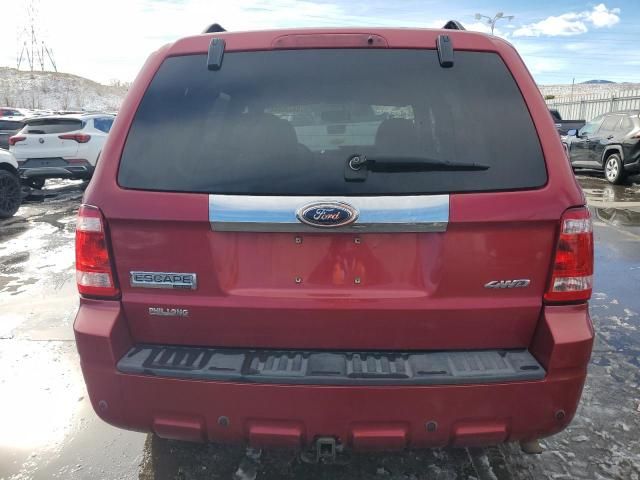 2009 Ford Escape Limited