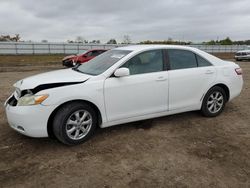 Salvage cars for sale at Houston, TX auction: 2007 Toyota Camry CE