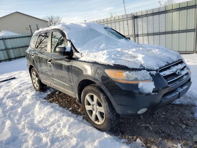 2009 Hyundai Santa FE SE