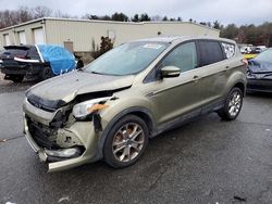 Ford Vehiculos salvage en venta: 2013 Ford Escape SEL