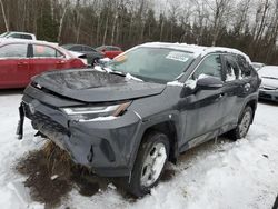 2024 Toyota Rav4 XLE en venta en Cookstown, ON