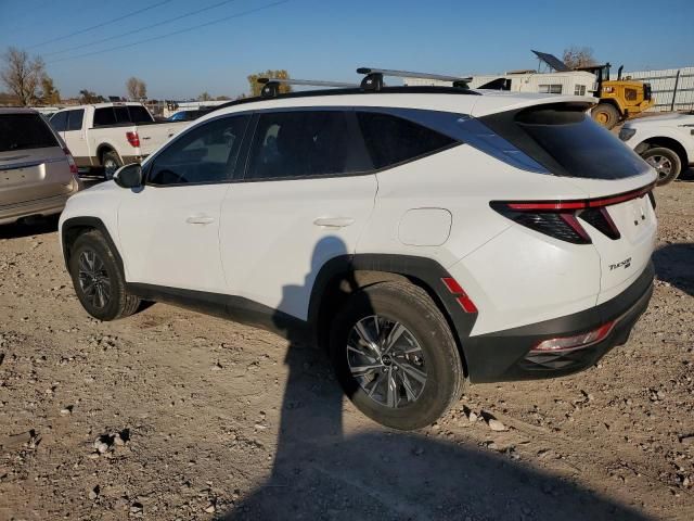 2023 Hyundai Tucson Blue