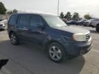 2013 Honda Pilot EXL