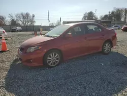 Salvage cars for sale at Mebane, NC auction: 2010 Toyota Corolla Base