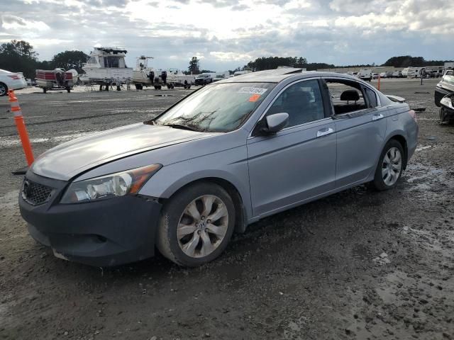 2008 Honda Accord EXL