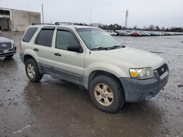 2006 Ford Escape XLT