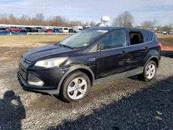 Salvage cars for sale at Hillsborough, NJ auction: 2014 Ford Escape SE