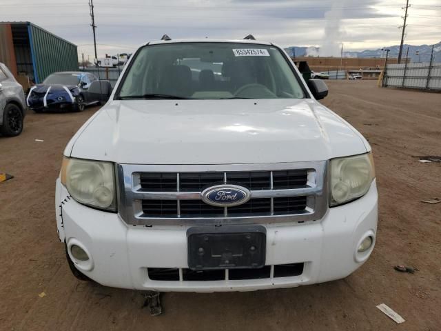 2011 Ford Escape XLT