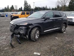 Salvage cars for sale at Graham, WA auction: 2020 Hyundai Santa FE SEL