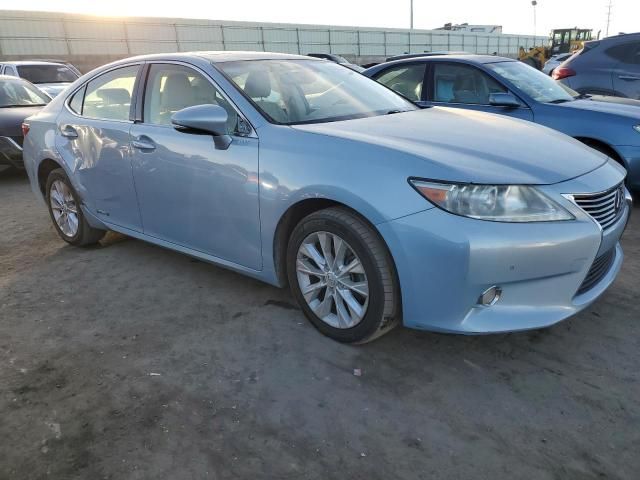 2013 Lexus ES 300H