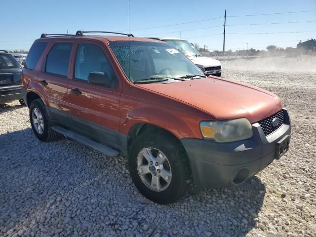 2006 Ford Escape XLT