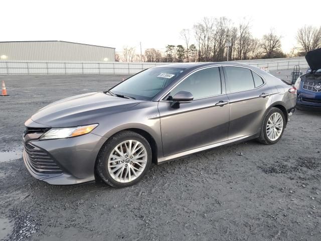 2019 Toyota Camry Hybrid