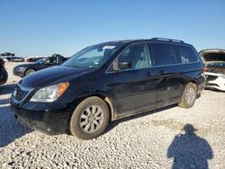 Salvage cars for sale at Temple, TX auction: 2010 Honda Odyssey EXL