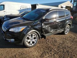 Salvage cars for sale from Copart Brighton, CO: 2016 Ford Escape Titanium