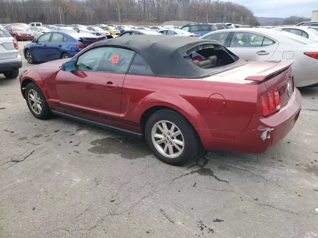 2005 Ford Mustang