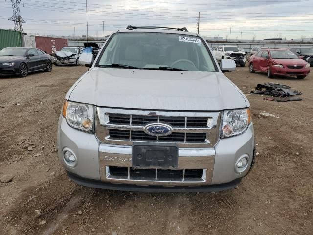 2010 Ford Escape Hybrid