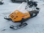 2002 Skidoo 2002 Skidoo Tundra