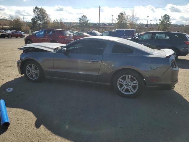 2014 Ford Mustang