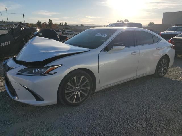 2019 Lexus ES 350