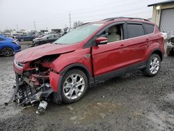 Salvage SUVs for sale at auction: 2013 Ford Escape SEL