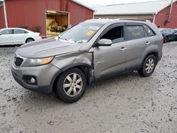 KIA Vehiculos salvage en venta: 2011 KIA Sorento Base