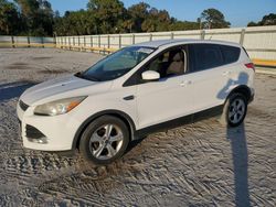 Salvage cars for sale at Fort Pierce, FL auction: 2014 Ford Escape SE