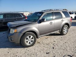 Salvage cars for sale at Haslet, TX auction: 2011 Ford Escape Limited