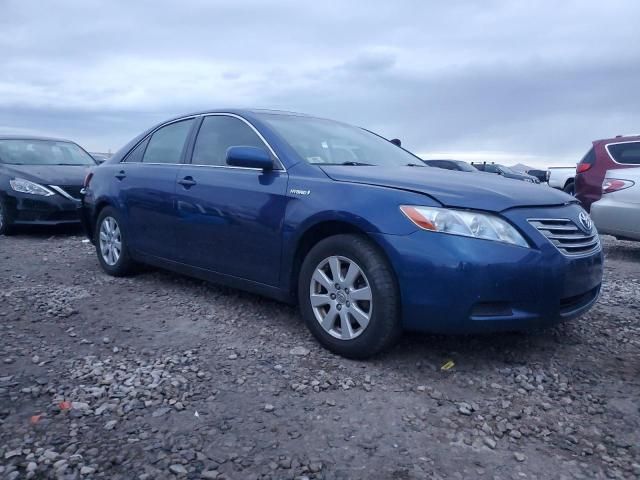 2008 Toyota Camry Hybrid