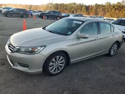 Honda Accord exl salvage cars for sale: 2013 Honda Accord EXL