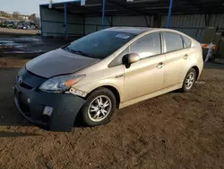 Toyota Prius salvage cars for sale: 2010 Toyota Prius