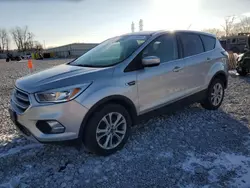 Ford salvage cars for sale: 2017 Ford Escape SE