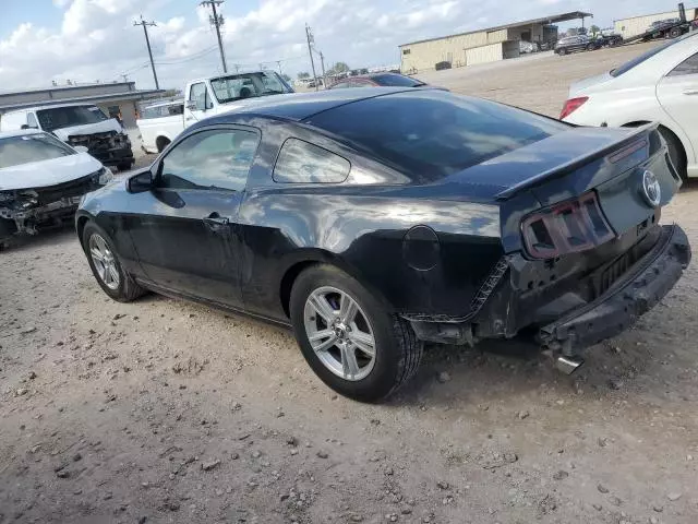 2013 Ford Mustang