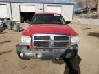 2005 Dodge Dakota Quad SLT