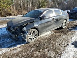 Salvage cars for sale from Copart Cookstown, ON: 2023 KIA Forte EX