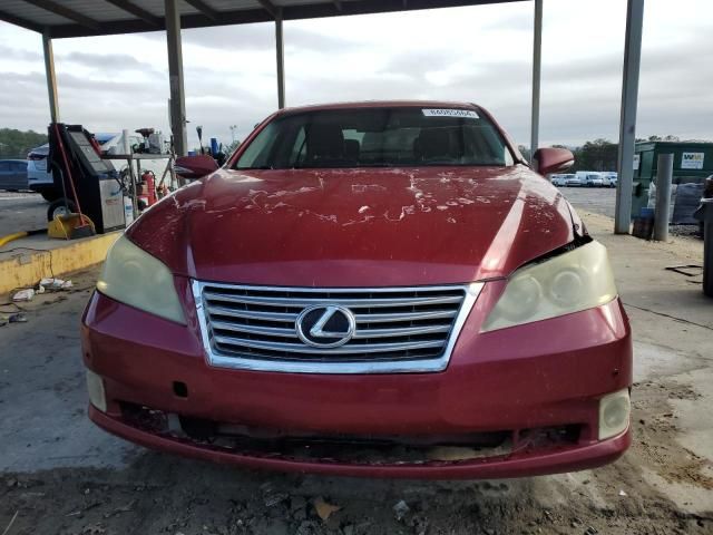 2010 Lexus ES 350