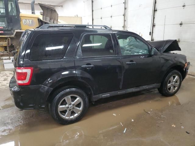 2011 Ford Escape XLT