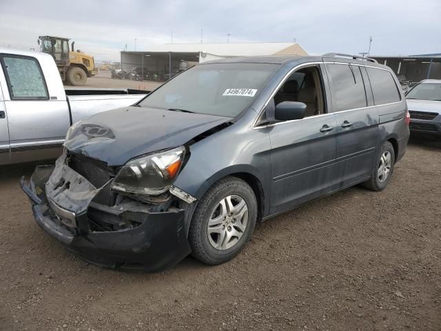 2005 Honda Odyssey EXL