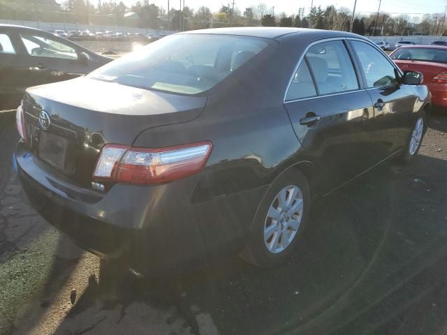 2007 Toyota Camry Hybrid