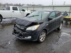 Ford Escape salvage cars for sale: 2013 Ford Escape SEL