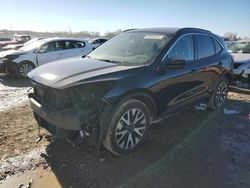 Salvage cars for sale at Kansas City, KS auction: 2020 Ford Escape SEL