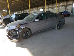 Salvage cars for sale from Copart Phoenix, AZ: 2023 Hyundai Elantra SEL