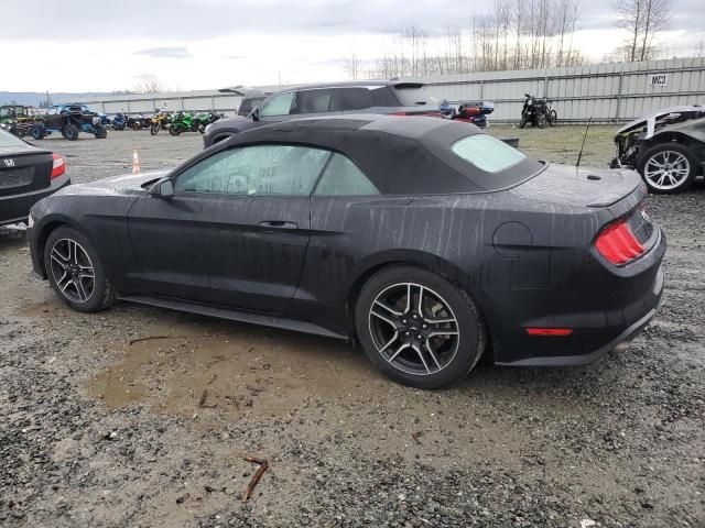 2023 Ford Mustang