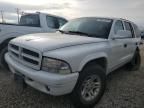 2002 Dodge Durango SLT