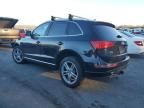 2014 Audi Q5 TDI Premium Plus