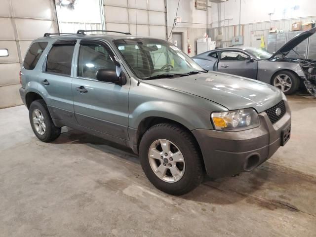 2005 Ford Escape XLT